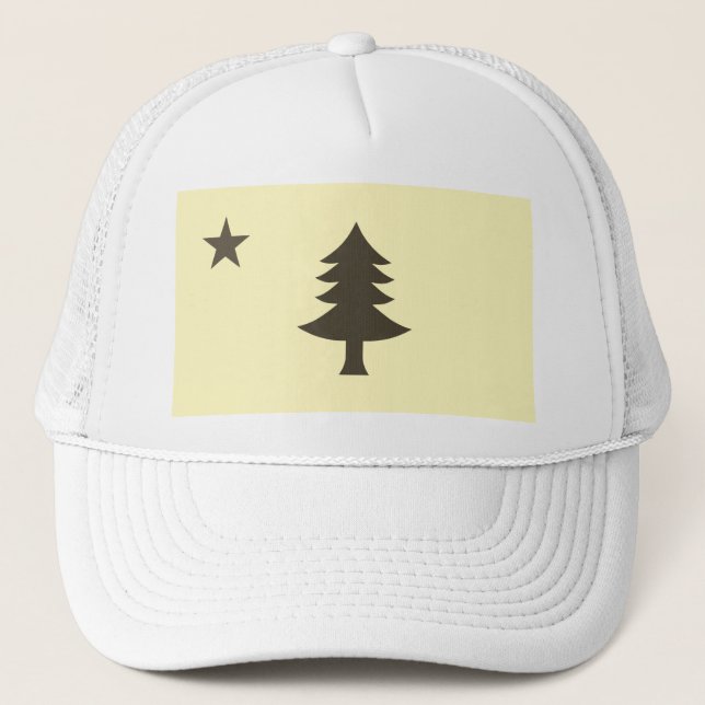 Casquette Drapeau historique du Maine (1901-1909) (Devant)