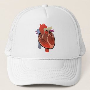 CASQUETTE DRAWING MEDICAL DE L'ANATOMIE HEART
