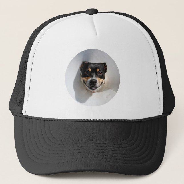 Casquette Drôle chien souriant (Devant)
