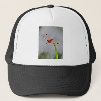 CASQUETTE DSC00029.JPG