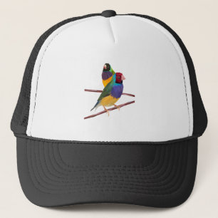 Casquette Duo de pinson de Gouldian