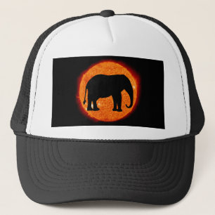 Casquette Éclipse solaire éléphant