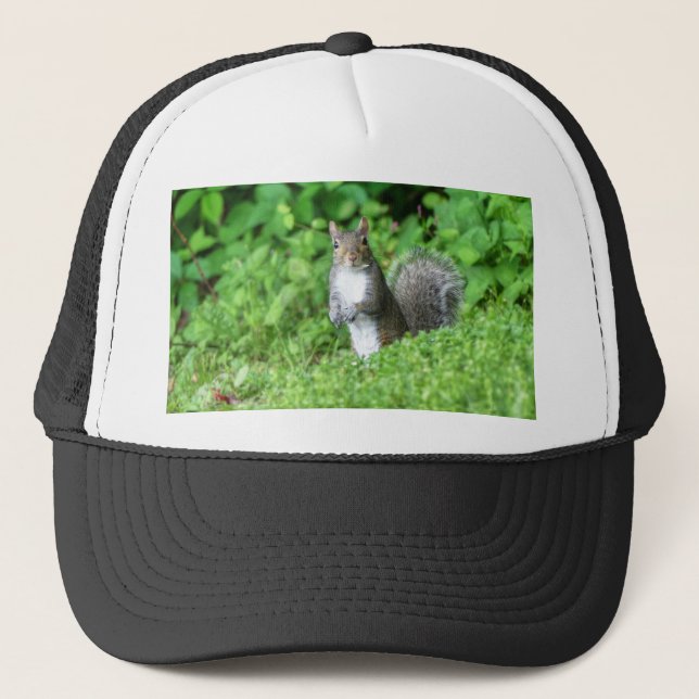 Casquette Écureuil (Devant)