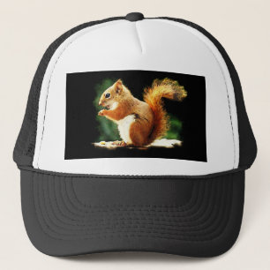 Casquette Écureuil