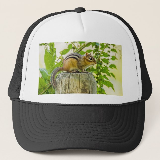 Casquette Écureuil sur un poteau de clôture (Devant)