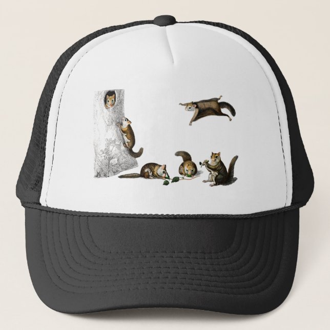 Casquette écureuil volant vintage du nord (Devant)