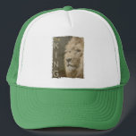 Casquette Elégant Blanc Et Vert Pop Art Moderne Tête De Lion<br><div class="desc">Elégant Blanc Et Vert Moderne Pop Art Lion Head Modèle Ajouter Image Logo Photo Basic Trucker Hat.</div>