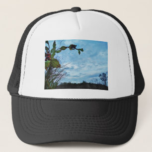 Casquette Élégant Noël Holly, ciel bleu