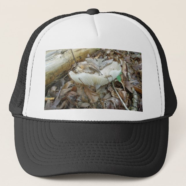 Casquette Éléments de coordination du champignon blanc (Devant)
