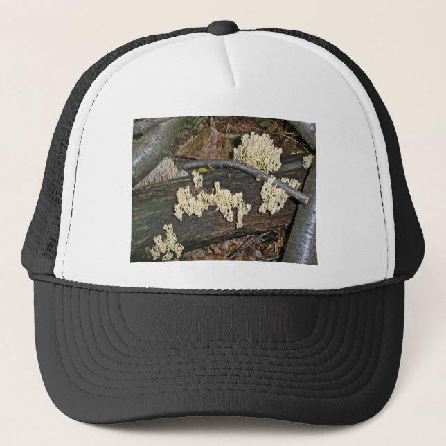Casquette Éléments de coordination du champignon corallien (Devant)