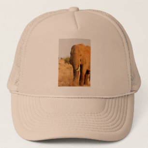 Casquette Éléphants