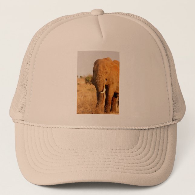Casquette Éléphants (Devant)