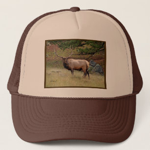 Casquette Elk dans le désert