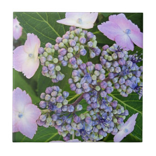 Casquette en dentelle lavande Hydrangea Carreau en