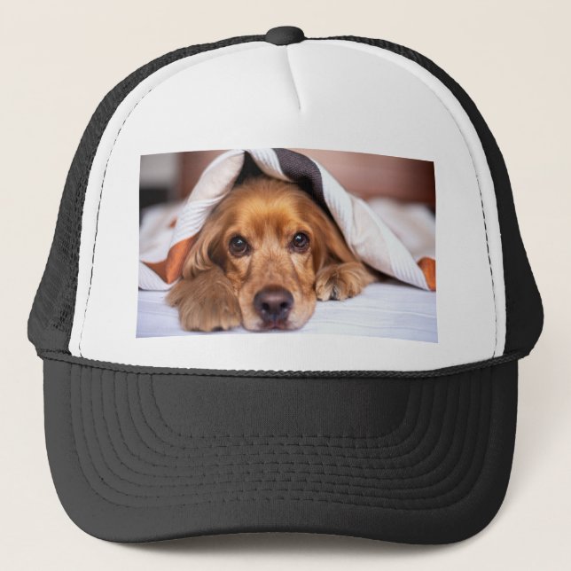 Casquette English Cocker Spaniel Dog (Devant)