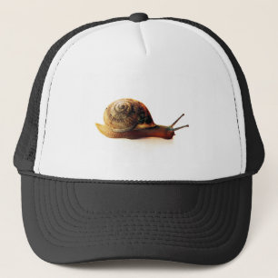 Casquette Escargot