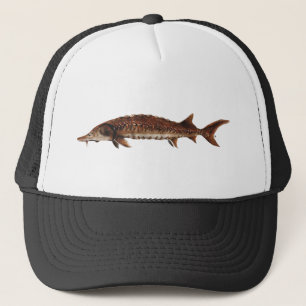 Casquette Esturgeon de Golfe - desotoi d'oxyrinchus