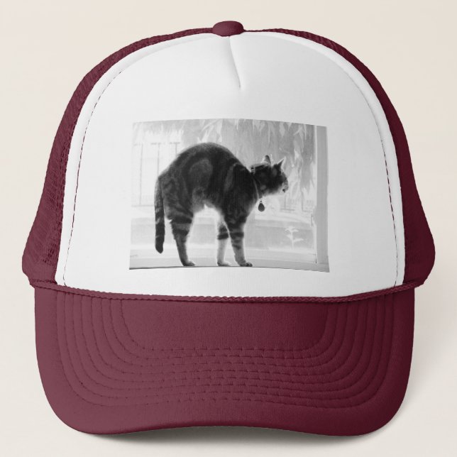 Casquette Étirer le crayon Indigo (Devant)