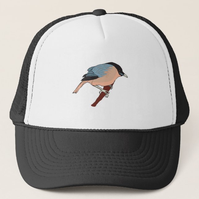 Casquette étourneau sansonnet (Devant)