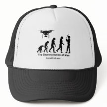 Évolution de bourdon - Dronevolution