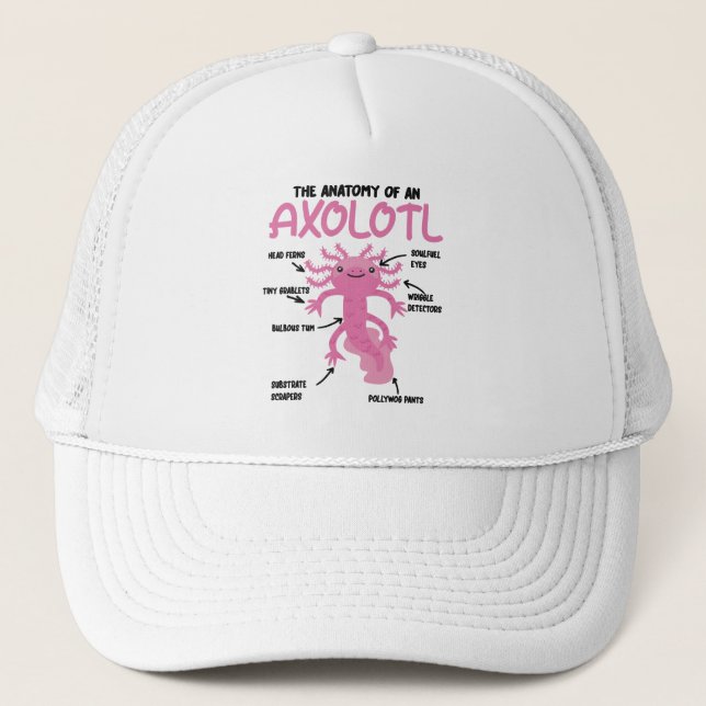 Casquette Explication Axolotl Anatomie D'Un Axolotl (Devant)