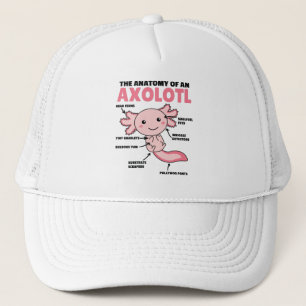 Casquette Explication Axolotl Anatomie D'Un Axolotl