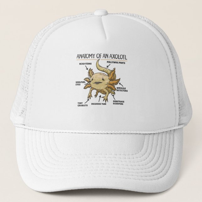 Casquette Explication Axolotl Anatomie D'Un Axolotl (Devant)