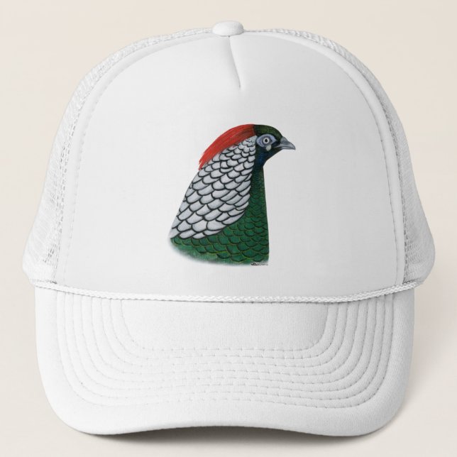 Casquette faisan : Lady Amherst Head (Devant)