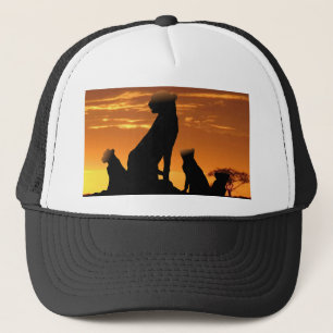 Casquette Famille Cheetah