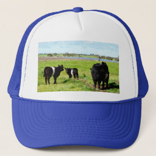 Casquette Famille De Vaches Galloway,