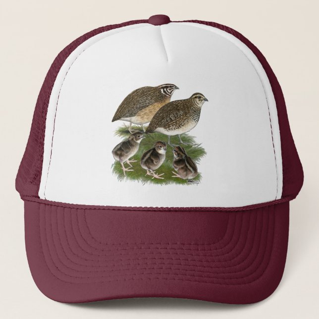 Casquette Famille des Cailles Coturnix (Devant)