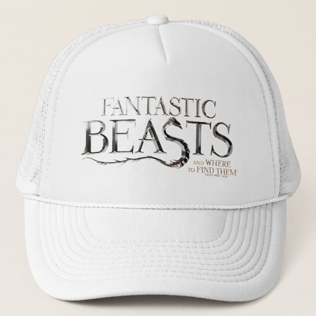 CASQUETTE FANTASTIQUE BEASTS ET WHERE TO FIND THEM™ (Devant)