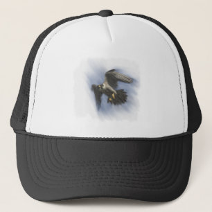 Casquette Faucon pèlerin en vol