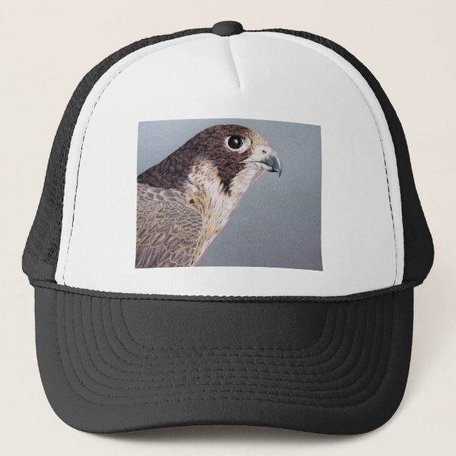 Casquette Faucon pérégrin (Devant)