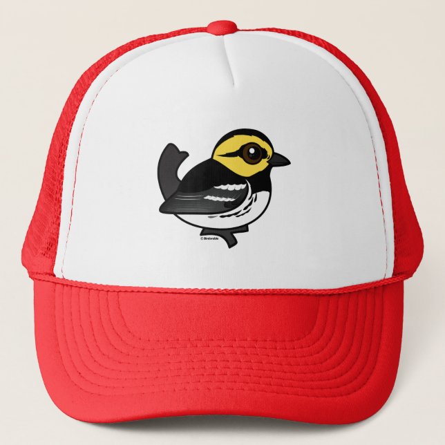 Casquette Fauvette D'or-cheeked de Birdorable (Devant)