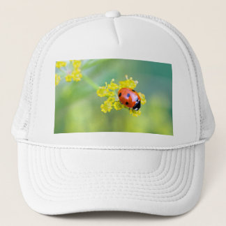 Casquette femme au sommet