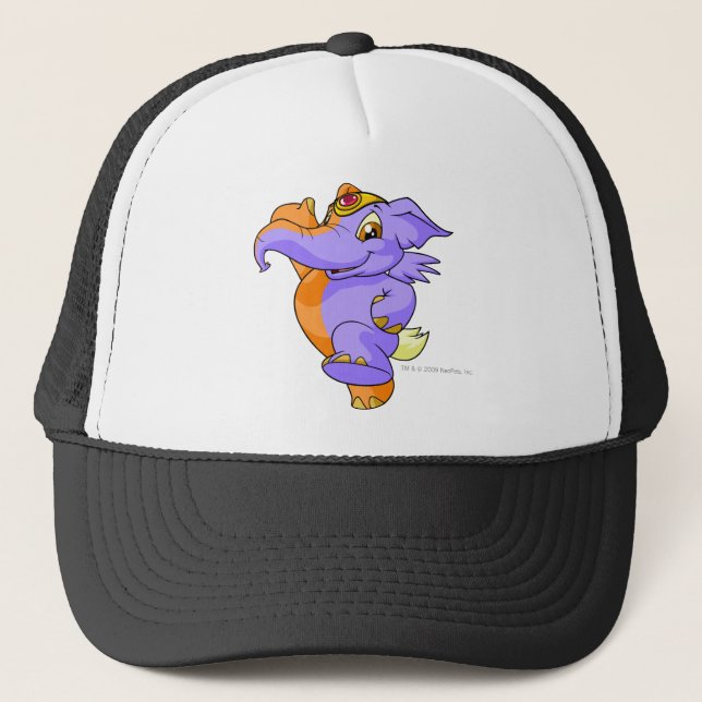 Casquette Fente d'Elephante (Devant)
