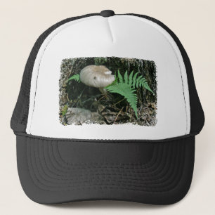 Casquette Ferme et champignons à Stump Coordonner les élémen