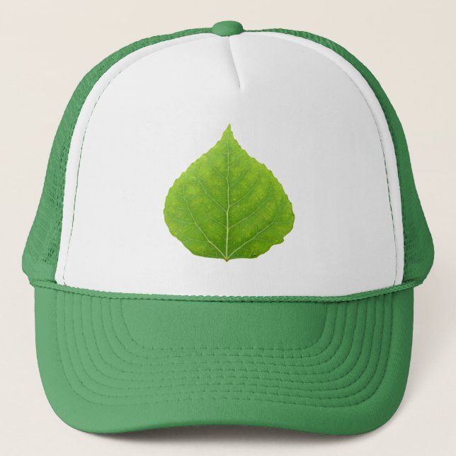 Casquette Feuille d'Aspen vert #11 (Devant)