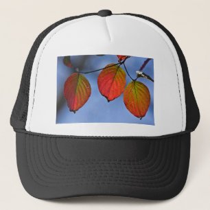 Casquette Feuilles d'automne colorées illuminées Trio