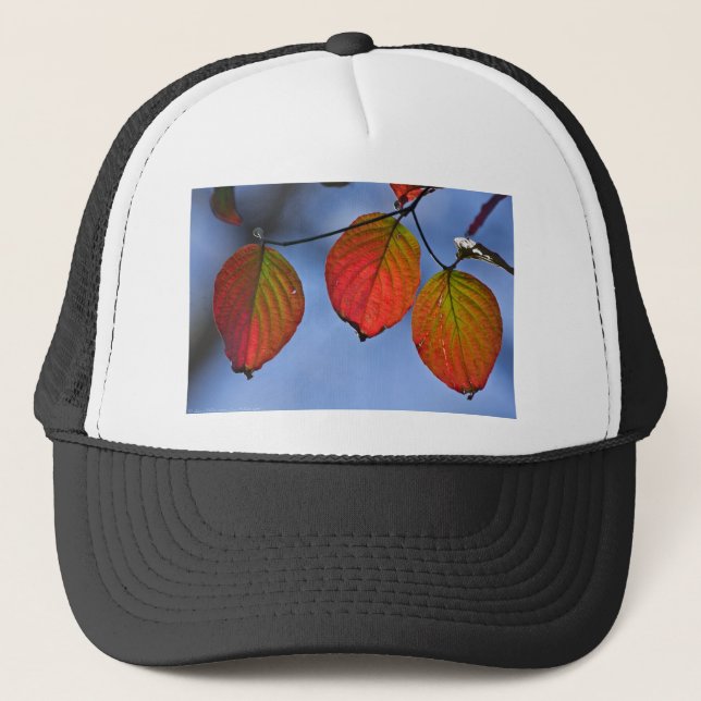 Casquette Feuilles d'automne colorées illuminées Trio (Devant)