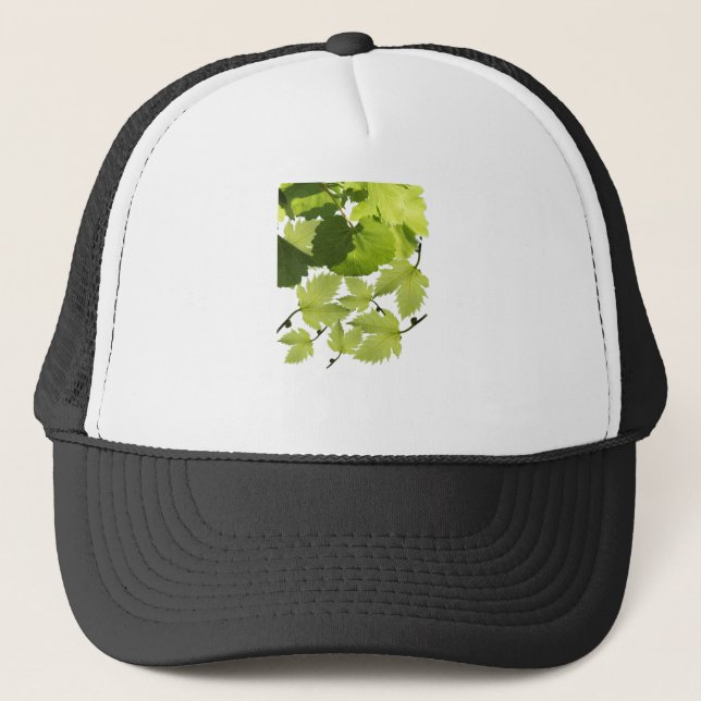 Casquette Feuilles de vigne verte (Devant)