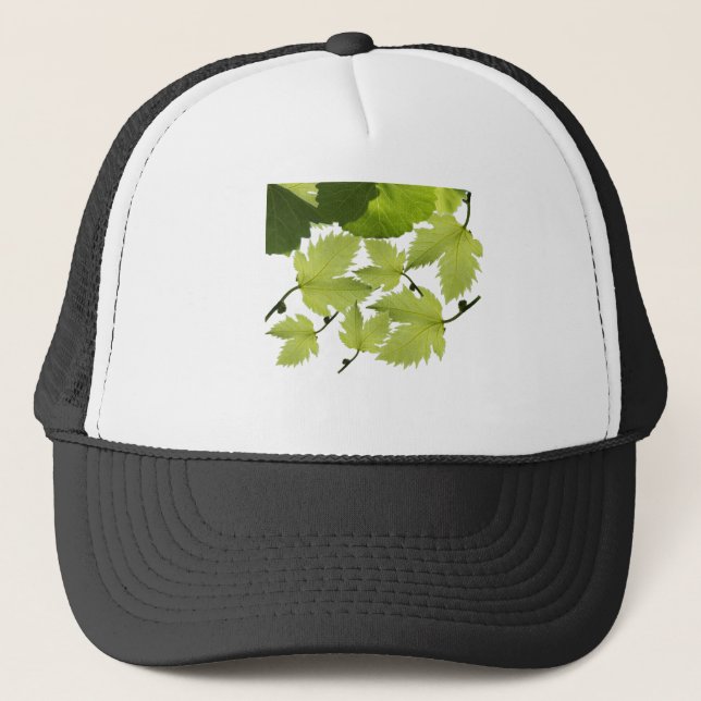 Casquette Feuilles verts de vigne (Devant)