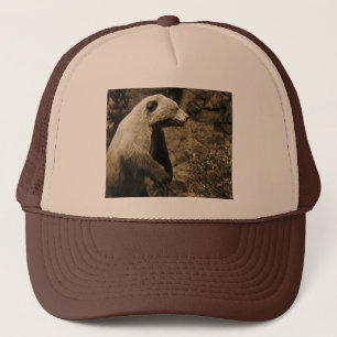 Casquette Fière Ours