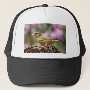 Casquette Finch vert