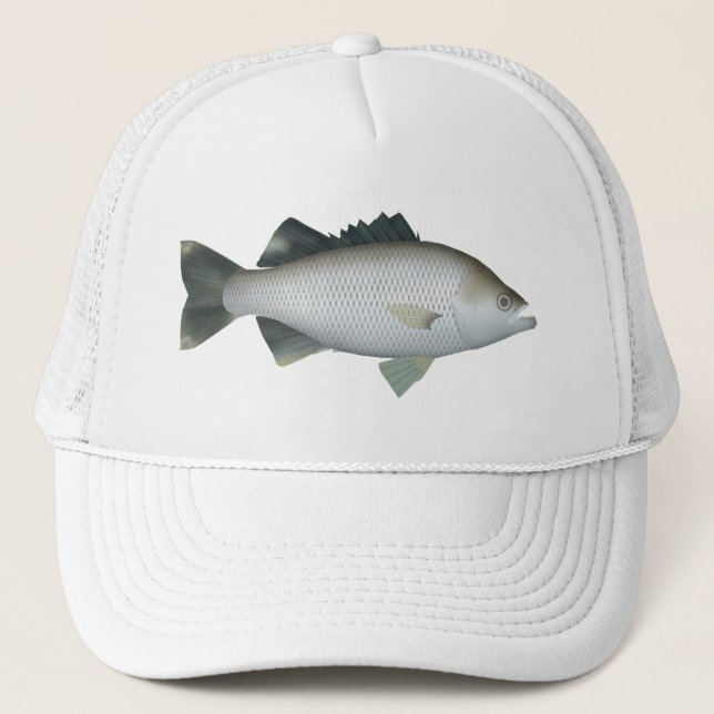 Casquette Flagtail Rock (Devant)