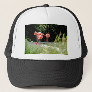 Casquette flamant