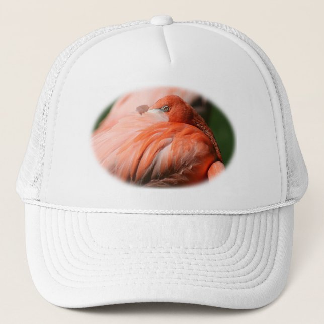 Casquette Flamant rose (Devant)