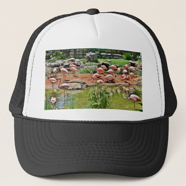 Casquette Flamant rose rose (Devant)
