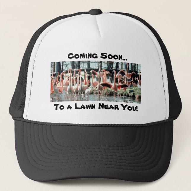 Casquette Flamants roses, venant bientôt…, à une pelouse (Devant)